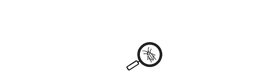 SpyderMail
